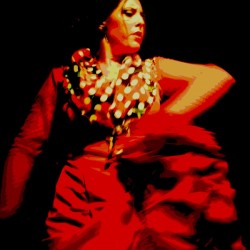 Flamenco 3  